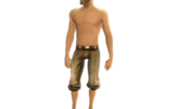 Soldiersbrownpants